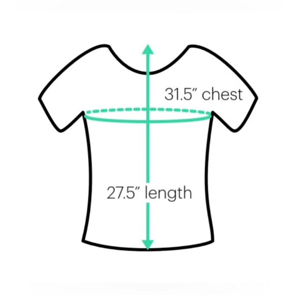 AEROPOSTALE Color Block Purple Stripes Logo Casual T Shirt Size Large NWT - Picture 7 of 10